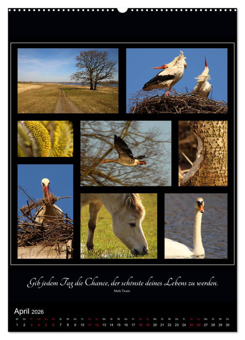 Sprache in Bildern - Collagen aus der Natur (CALVENDO Wandkalender 2026)