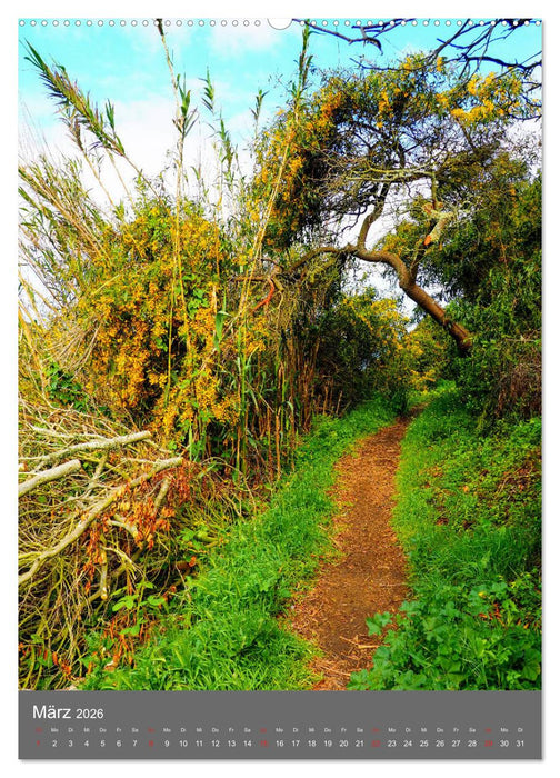 Rota Vicentina (CALVENDO Wandkalender 2026)