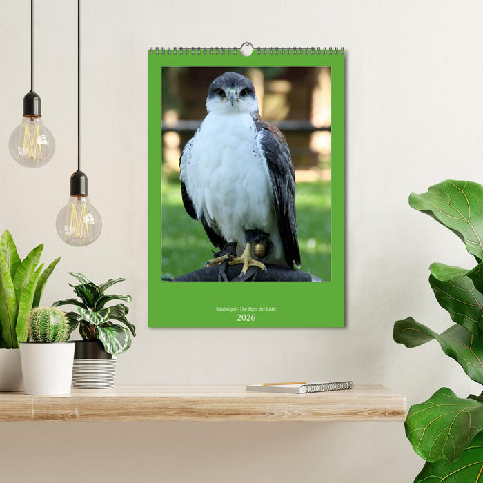 Raubvögel - Die Jäger der Lüfte (CALVENDO Wandkalender 2026)