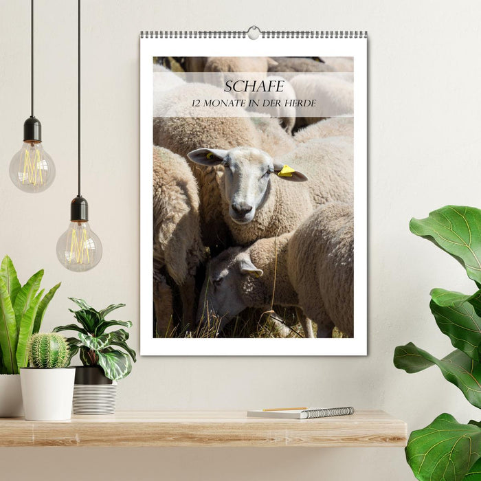 Schafe - 12 Monate in der Herde (CALVENDO Wandkalender 2026)