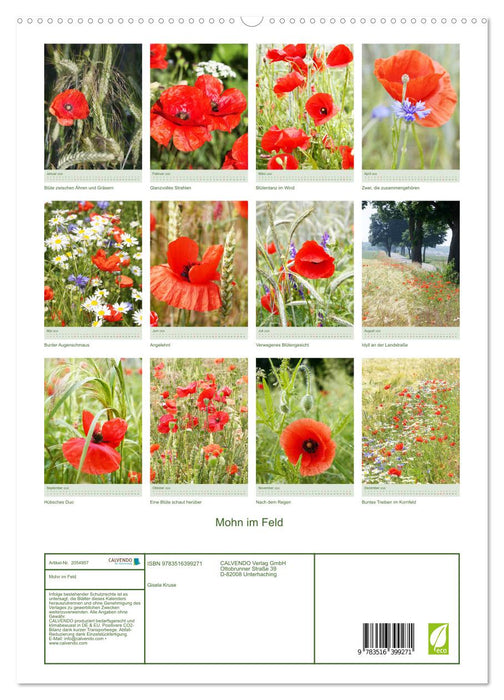 Mohn im Feld (CALVENDO Premium Wandkalender 2026)