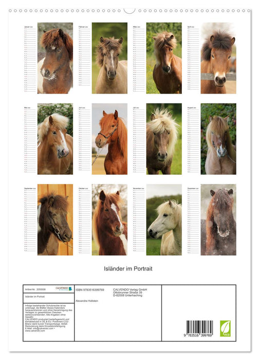 Isländer im Portrait (CALVENDO Premium Wandkalender 2026)