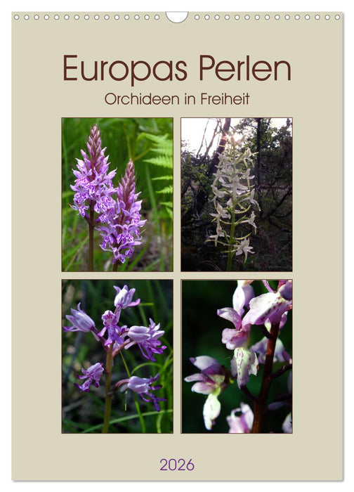Europas Perlen (CALVENDO Wandkalender 2026)