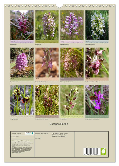 Europas Perlen (CALVENDO Wandkalender 2026)