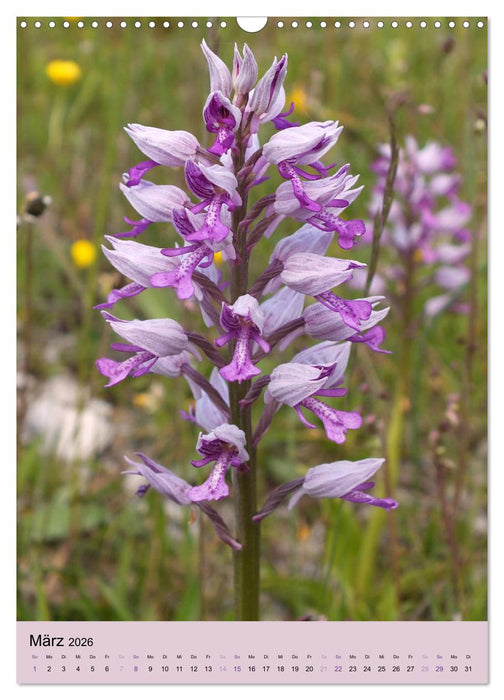 Europas Perlen (CALVENDO Wandkalender 2026)