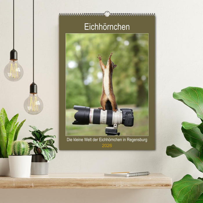 Die kleine Welt der Eichhörnchen in Regensburg (CALVENDO Wandkalender 2026)