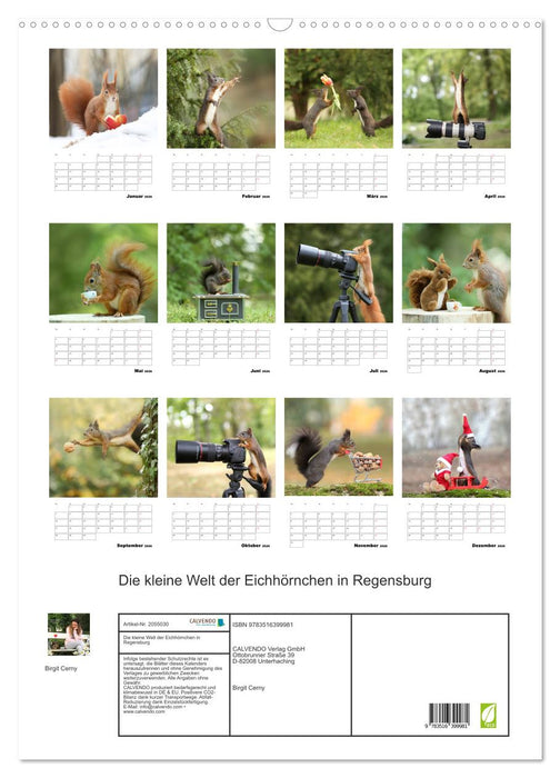 Die kleine Welt der Eichhörnchen in Regensburg (CALVENDO Wandkalender 2026)