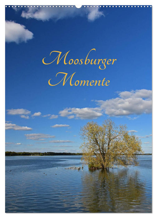 Moosburger Momente (CALVENDO Wandkalender 2026)