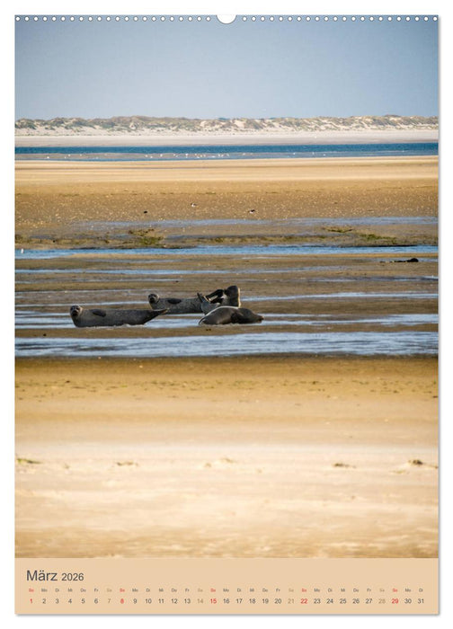 Ostfriesland - Westermarsch und Norden (CALVENDO Premium Wandkalender 2026)