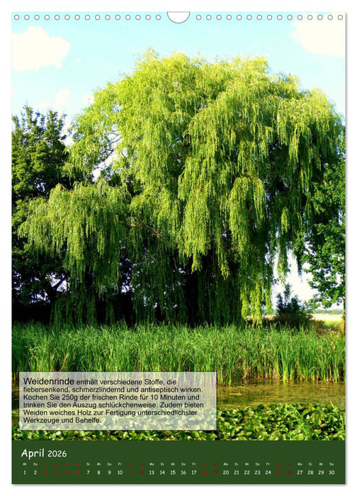 Der Survival-Kalender (CALVENDO Wandkalender 2026)