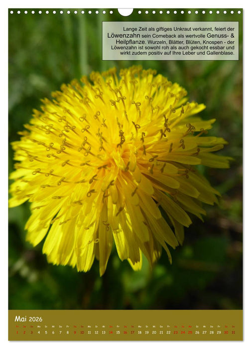 Der Survival-Kalender (CALVENDO Wandkalender 2026)