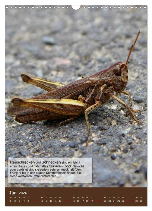 Der Survival-Kalender (CALVENDO Wandkalender 2026)