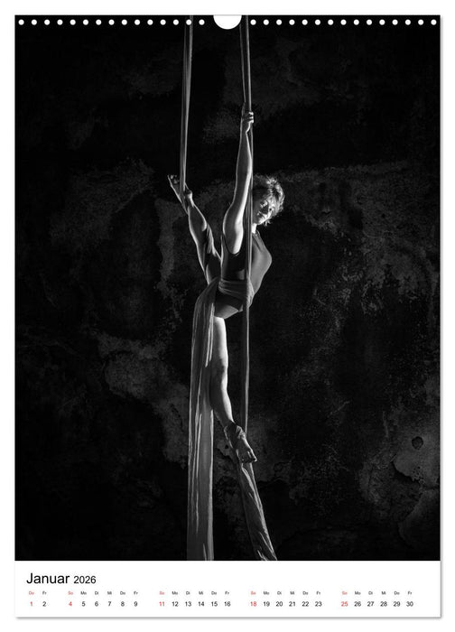 VERTIKALTUCH Artistik (CALVENDO Wandkalender 2026)