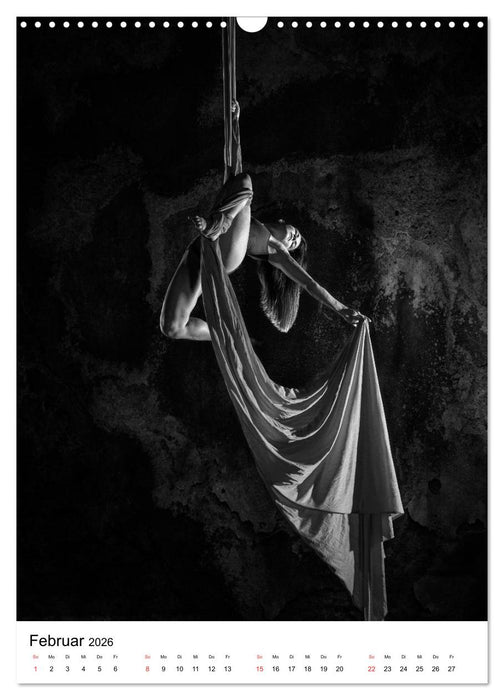 VERTIKALTUCH Artistik (CALVENDO Wandkalender 2026)