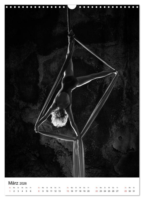 VERTIKALTUCH Artistik (CALVENDO Wandkalender 2026)