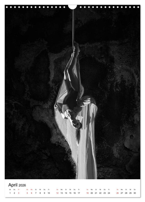 VERTIKALTUCH Artistik (CALVENDO Wandkalender 2026)