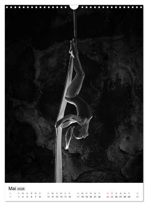 VERTIKALTUCH Artistik (CALVENDO Wandkalender 2026)