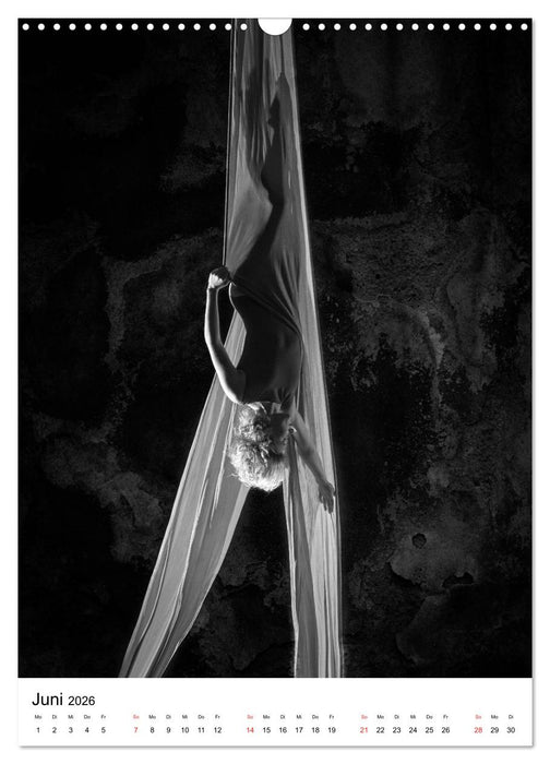 VERTIKALTUCH Artistik (CALVENDO Wandkalender 2026)