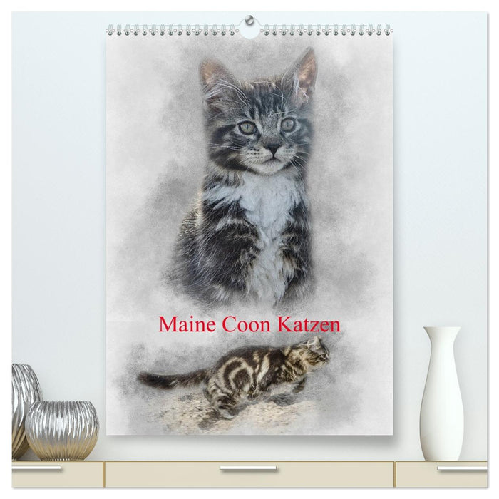 Maine Coon Katzen (CALVENDO Premium Wandkalender 2026)