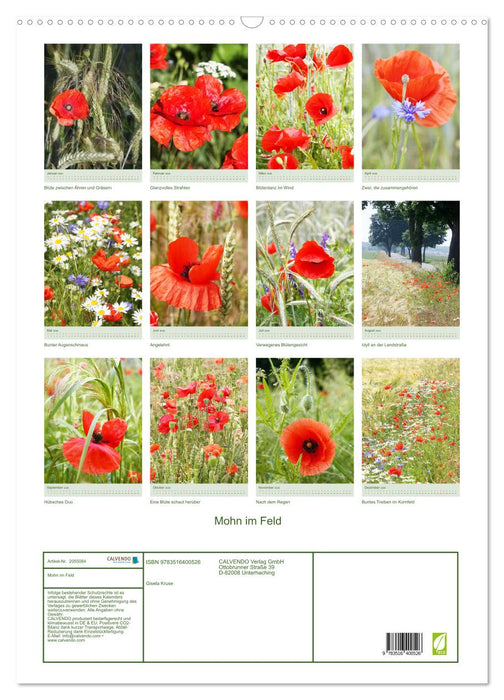 Mohn im Feld (CALVENDO Wandkalender 2026)