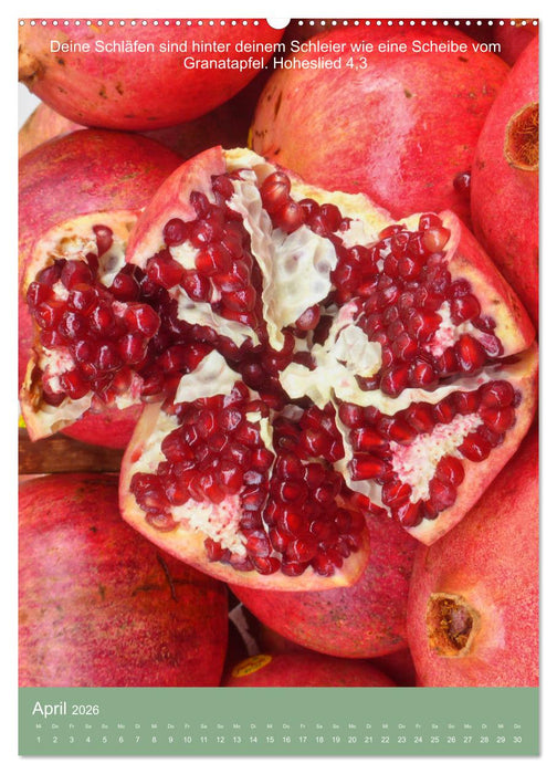 Biblische Pflanzen mit ihren Bibelversen (CALVENDO Wandkalender 2026)