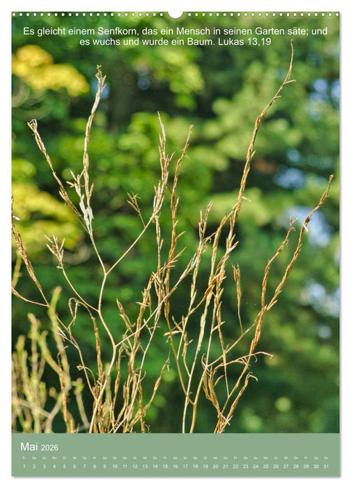 Biblische Pflanzen mit ihren Bibelversen (CALVENDO Wandkalender 2026)