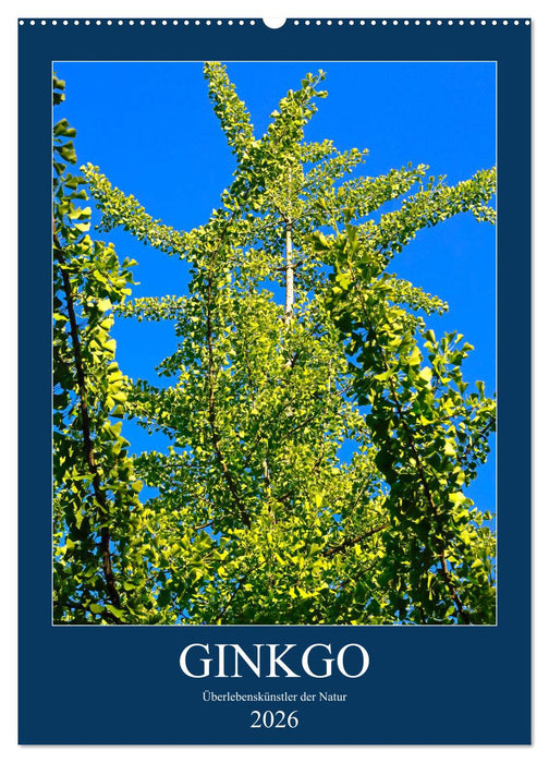 Ginkgo (CALVENDO Wandkalender 2026)