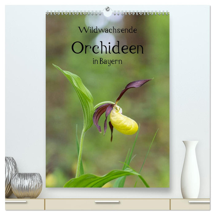 Wildwachsende Orchideen in Bayern (CALVENDO Premium Wandkalender 2026)