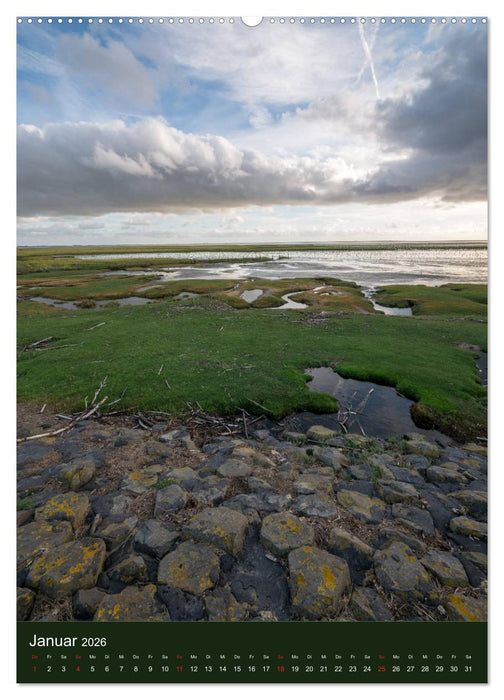 Ostfriesland - Westermarsch und Norden (CALVENDO Wandkalender 2026)