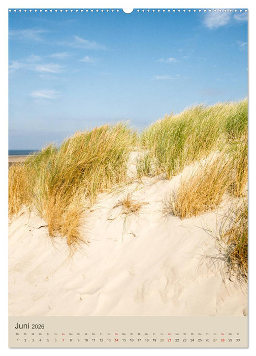 Ostfriesland - Westermarsch und Norden (CALVENDO Wandkalender 2026)