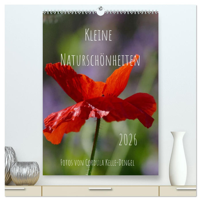 Kleine Naturschönheiten (CALVENDO Premium Wandkalender 2026)