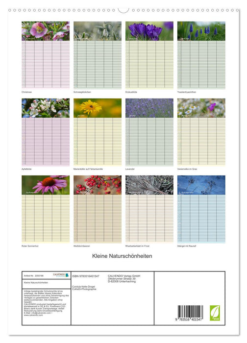 Kleine Naturschönheiten (CALVENDO Premium Wandkalender 2026)