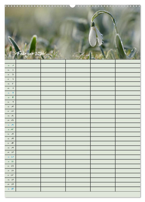 Kleine Naturschönheiten (CALVENDO Premium Wandkalender 2026)