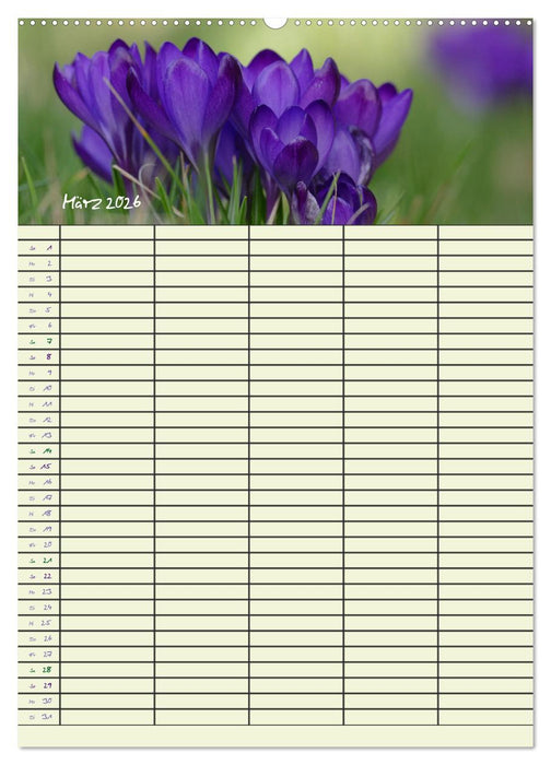 Kleine Naturschönheiten (CALVENDO Premium Wandkalender 2026)