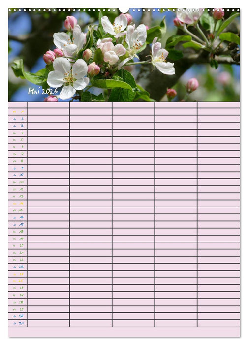 Kleine Naturschönheiten (CALVENDO Premium Wandkalender 2026)