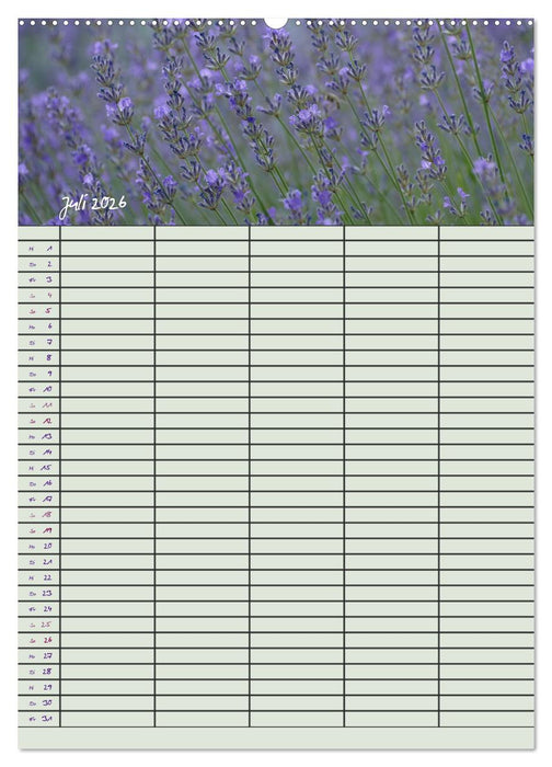 Kleine Naturschönheiten (CALVENDO Premium Wandkalender 2026)