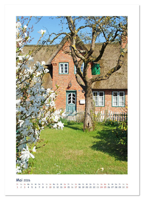 Friesenhäuser auf Föhr (CALVENDO Wandkalender 2026)