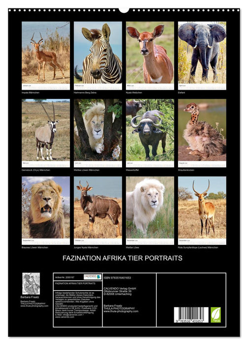 FAZINATION AFRIKA TIER PORTRAITS (CALVENDO Premium Wandkalender 2026)