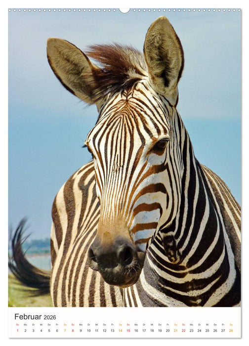 FAZINATION AFRIKA TIER PORTRAITS (CALVENDO Premium Wandkalender 2026)