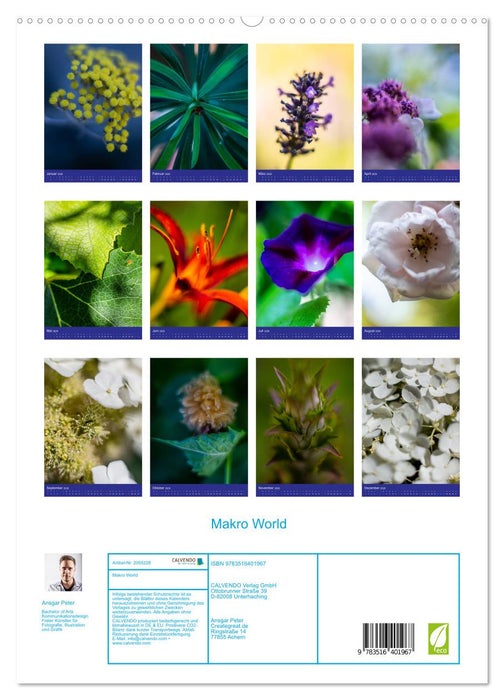 Makro World (CALVENDO Premium Wandkalender 2026)