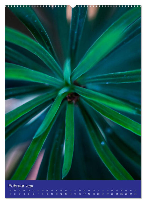 Makro World (CALVENDO Premium Wandkalender 2026)