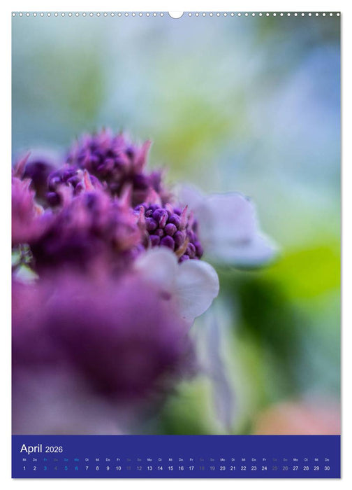 Makro World (CALVENDO Premium Wandkalender 2026)