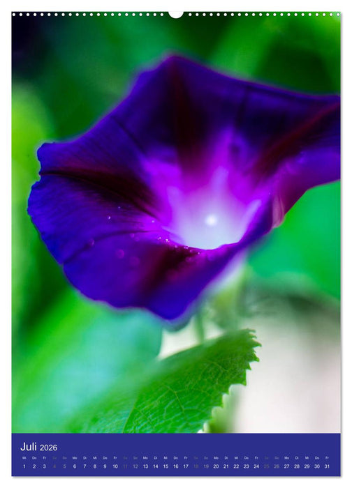 Makro World (CALVENDO Premium Wandkalender 2026)