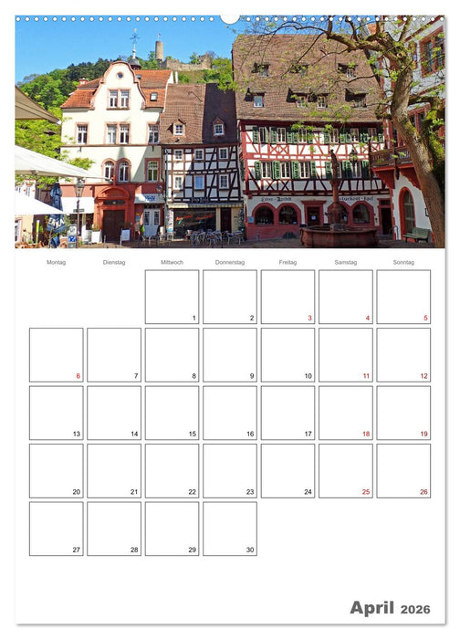 Weinheim an der Bergstraße Planer (CALVENDO Wandkalender 2026)