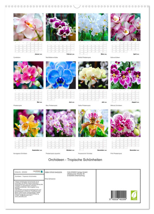 Orchideen - Tropische Schönheiten (CALVENDO Premium Wandkalender 2026)