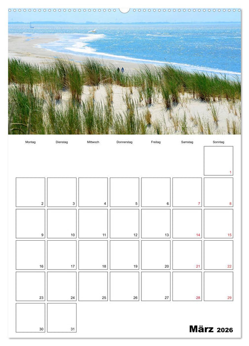 Langeoog - eine Trauminsel (CALVENDO Premium Wandkalender 2026)