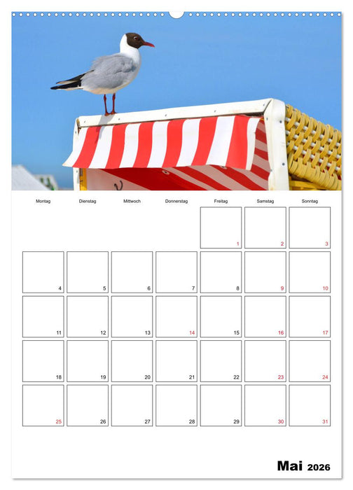 Langeoog - eine Trauminsel (CALVENDO Premium Wandkalender 2026)