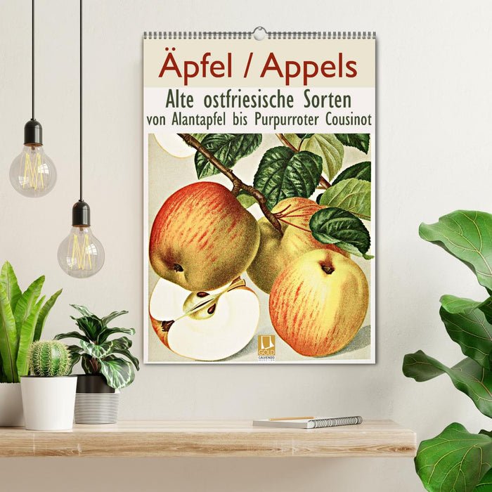 Äpfel/Appels. Alte ostfriesische Sorten (CALVENDO Wandkalender 2026)