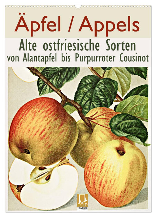 Äpfel/Appels. Alte ostfriesische Sorten (CALVENDO Wandkalender 2026)