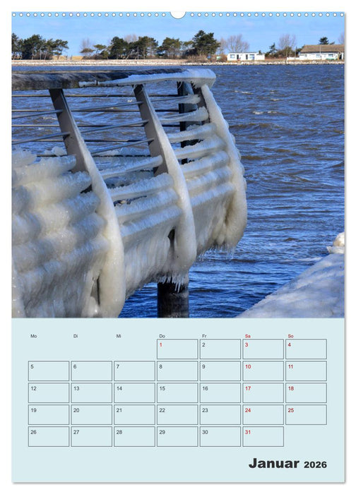 Moin Heiligenhafen (CALVENDO Wandkalender 2026)